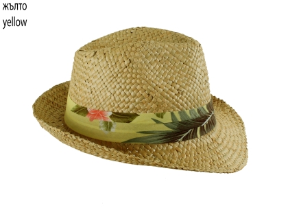 hat 70C006