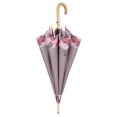 Ladies' Automatic Golf Umbrella Perletti Green 19159, Lotus/ Beige